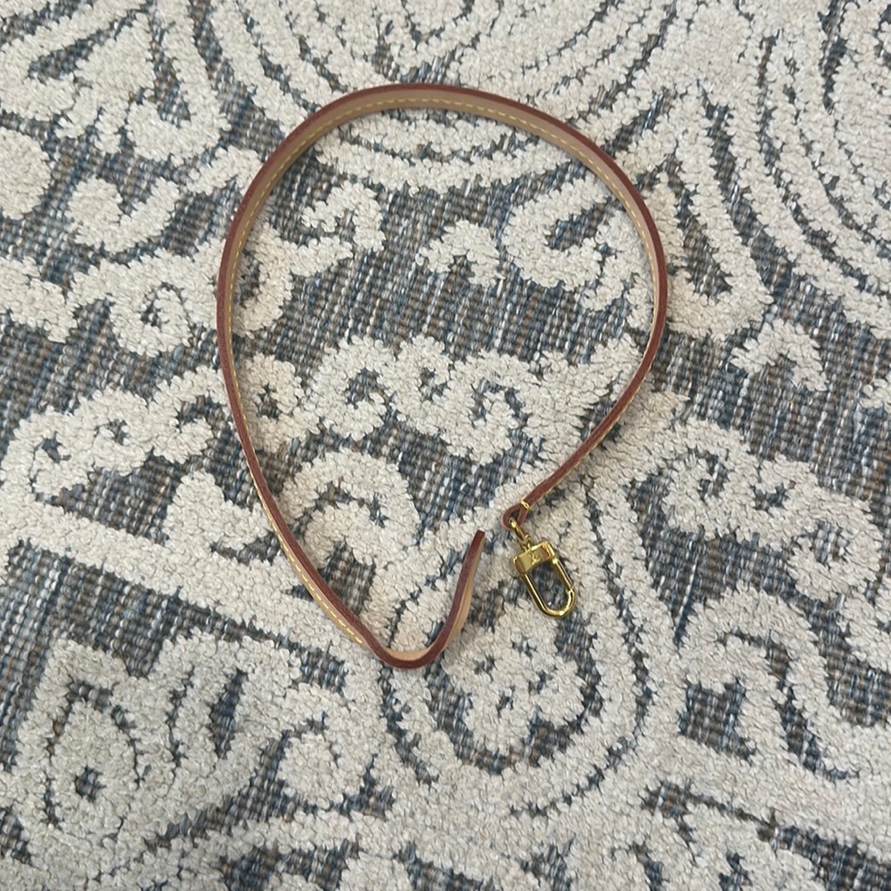 Louis Vuitton pochette accessories strap